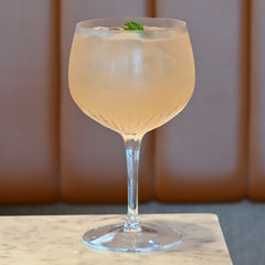 Italian Premium American Gin Glasses | 27oz | Gin & Tonic | Set of 2