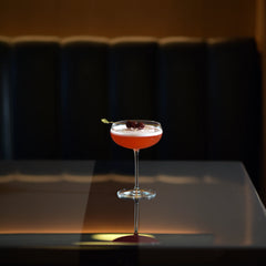 Italian Premium Martini Glasses | 10.25oz | Talismano | Set of 4