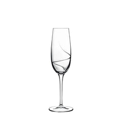Italian Premium Champagne Glasses | 8oz | Aero | Set of 6