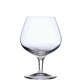Italian Premium Cognac Glasses | 13.25oz | Michelangelo Masterpiece | Set of 4