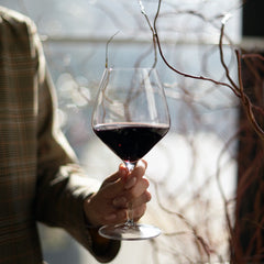 Italian Premium Pinot Noir Red Wine Glasses | 21oz | Atelier | Set of 6