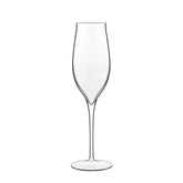 Vinea 6.75 oz Prosecco / Sparkling Wine Flute (Set Of 2)