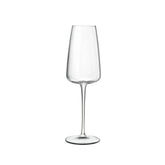 Talismano 7 oz Prosecco / Sparkling Small Wine Glasses (Set Of 4)
