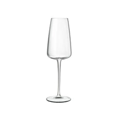 Talismano 7 oz Prosecco / Sparkling Small Wine Glasses (Set Of 4)