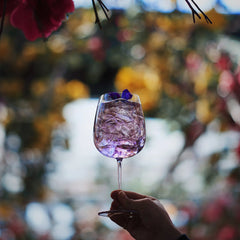 Talismano 25.25 oz Burgundy Red Wine/Gin Glasses (Set of 4)