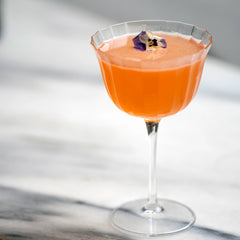 Italian Premium Retro Fizz Cocktail Glasses | 8.75oz | Bach | Set of 4