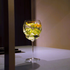 Italian Premium Gin & Tonic Cocktail Glasses | 27oz | Backdoor '20s | Set of 6