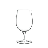 Palace 14.25oz Water Goblet (Set of 6)