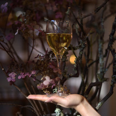 Italian Premium Small White Wine Glasses | 11.75oz | Magnifico | Set of 4