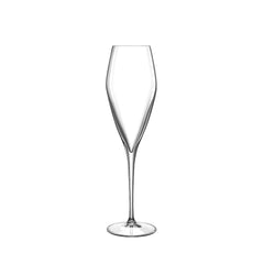 Italian Premium Champagne Glasses | 9.25oz | Atelier | Set of 6
