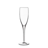 Italian Premium Champagne Flute | 6.75oz | Michelangelo Masterpiece | Set of 4
