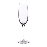 Italian Premium Champagne Glasses | 8.25oz | Crescendo | Set of 4