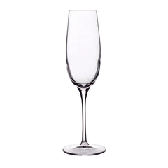 Italian Premium Champagne Glasses | 8.25oz | Crescendo | Set of 4