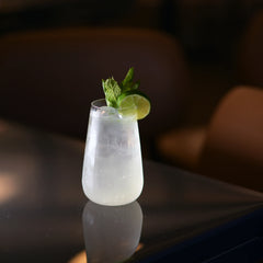 Optica 19.25 oz Beverage Drinking Glasses (Set of 4)