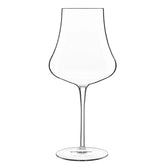 Tentazioni 16 oz Chardonnay White Wine Glasses (Set Of 6)