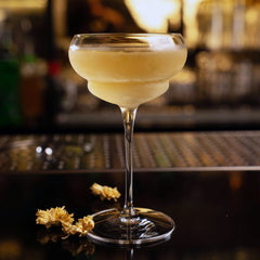 Italian Premium Nick & Nora Cocktail Glasses | 5.75oz | Backdoor '20s | Set of 6