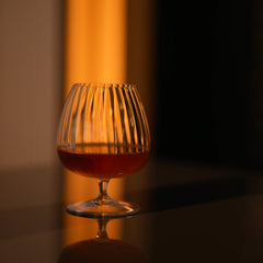 Optica 15.75 oz Cognac Glasses (Set of 4)