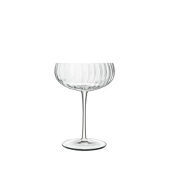 Optica 10.25 oz Champagne Glasses (Set of 4)