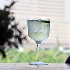 Italian Premium Sloe Gin Glasses | 20.25oz | Gin & Tonic | Set of 2