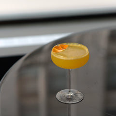 Optica 10.25 oz Champagne Glasses (Set of 4)