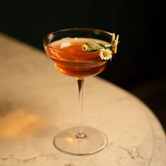 Italian Premium Hemmingway Special Cocktail Glasses | 8.25oz | Backdoor '20s | Set of 6