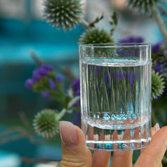 Italian Premium Retro Shot Glasses | 2.25oz | Bach | Set of 4