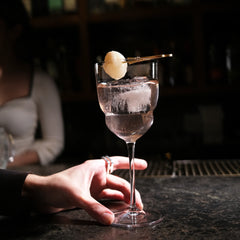 Italian Premium Barracuda Cocktail Glasses | 10.75oz | Backdoor '20s | Set of 6