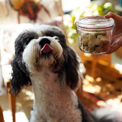 Italian Premium Canning & Food Jar XL | 17oz | Lock-Eat | 1 Piece