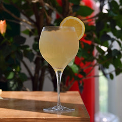 Italian Premium Plymouth Gin Glasses | 22oz | Gin & Tonic | Set of 2