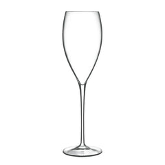 Italian Premium Champagne Glasses | 10.75 oz | Magnifico | Set of 4