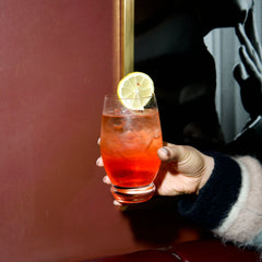 Italian Premium Bramble Highball Glasses | 16.75oz | Backdoor '20s | Set of 6