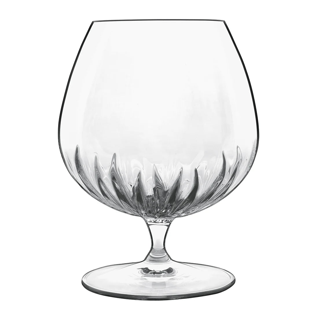 Italian Premium Cognac Glasses | 15.75oz | Mixology | Set of 6