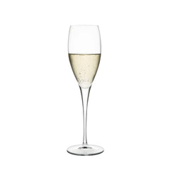 Italian Premium Champagne Glasses | 7.5oz | Michelangelo Masterpiece Gold Label | Set of 4