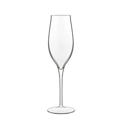 Vinea 6.75 oz Prosecco / Sparkling Wine Flute (Set Of 2)