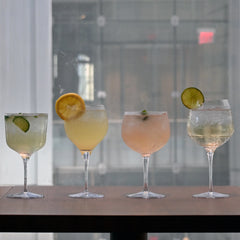 Italian Premium Assorted Gin Glasses | Mixology | 4pc Set