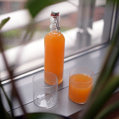 Optima 17 oz Authentica Bottle with Steel Airtight Closure (1 Piece)