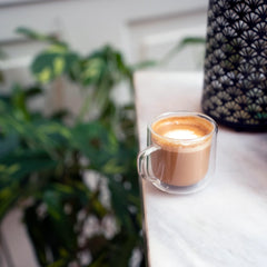 Thermic Sublime 8.1 oz Cappuccino Drinking Glasses (Set of 2)