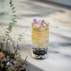 Italian Premium Textures Highball Glasses | 16.25oz | Mixology | Set of 4