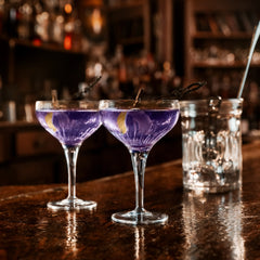 Mixology 7.5 oz Coupe Cocktail Glasses (Set Of 4)