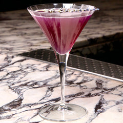 Italian Premium Retro Martini Glasses | 8.25oz | Bach | Set of 4