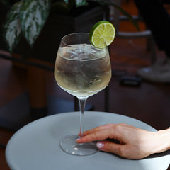 Italian Premium Old Tom Gin Glasses | 27oz | Gin & Tonic | Set of 2