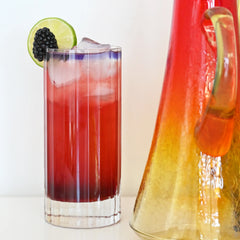 Italian Premium Retro Highball Glasses | 16.25oz | Bach | Set of 4