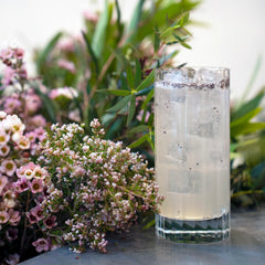 Italian Premium Retro Highball Glasses | 16.25oz | Bach | Set of 4