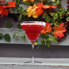 Roma 1960 13.25 oz Margarita Glasses (Set Of 4)