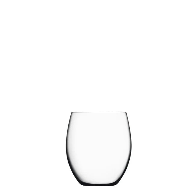 Talismano 17 oz Stemless Drinking Glasses (Set Of 4)